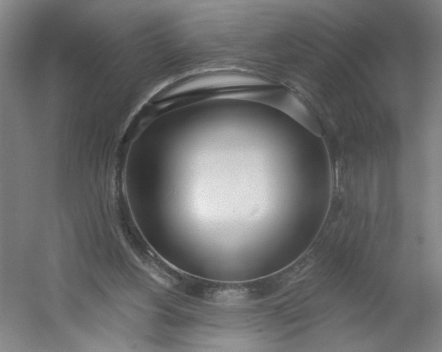 X0000054400156200508121708