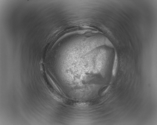 X0000054400161200508121708