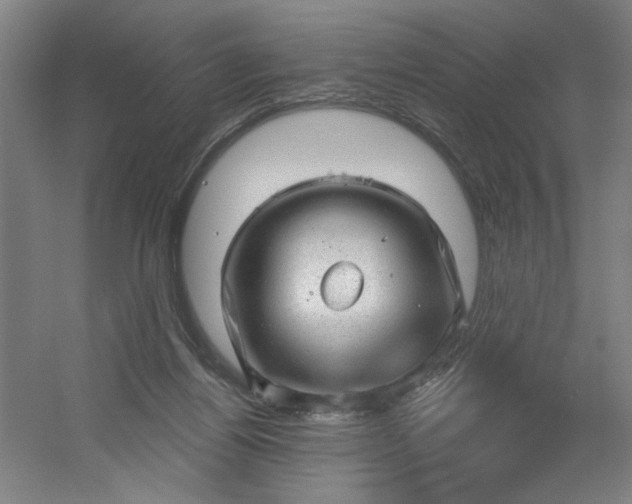 X0000054400164200508121708