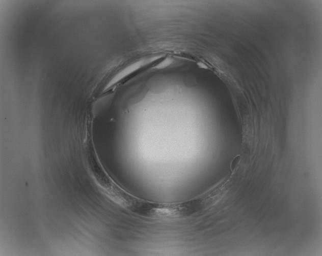 X0000054400167200508121708