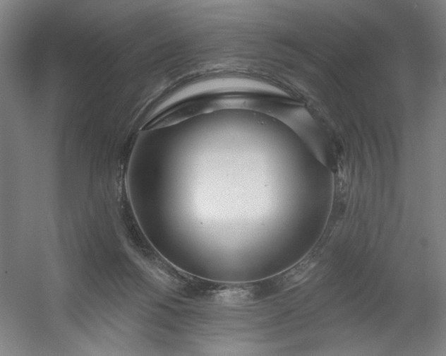 X0000054400168200508121708