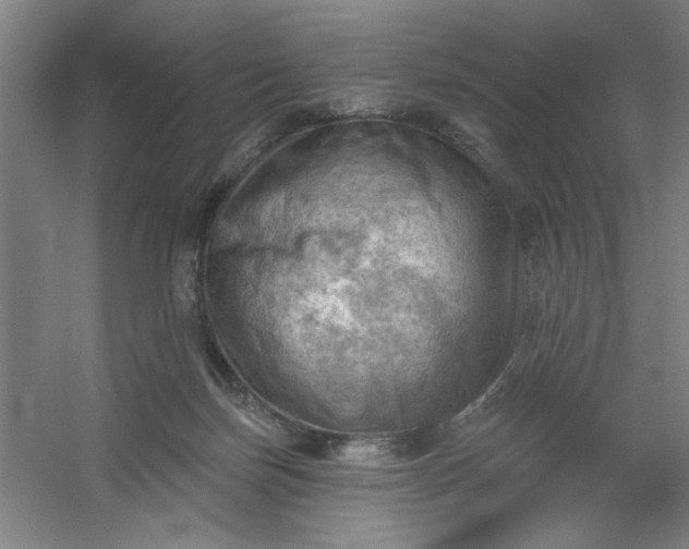 X0000054400171200508121708