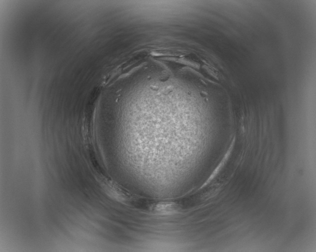 X0000054400173200508121708