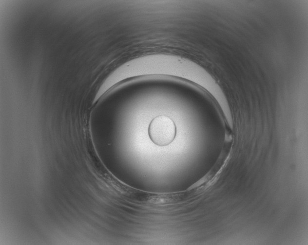 X0000054400174200508121708