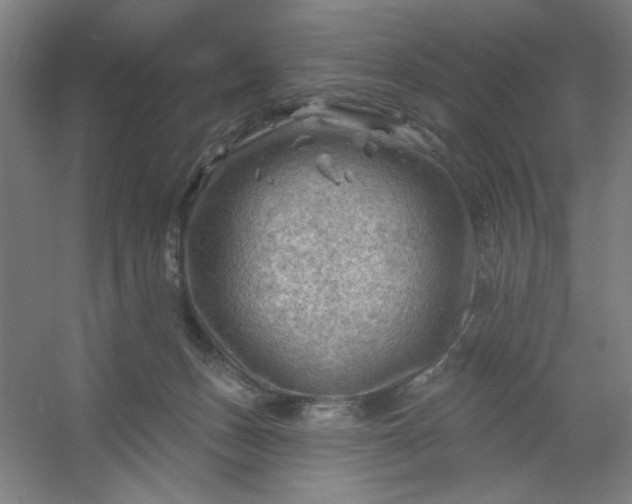 X0000054400175200508121708