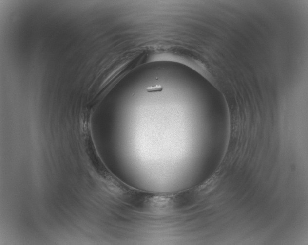 X0000054400176200508121708