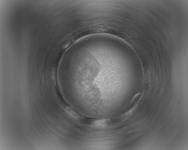 X0000054400178200508121708