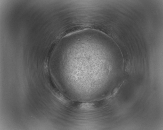 X0000054400179200508121708