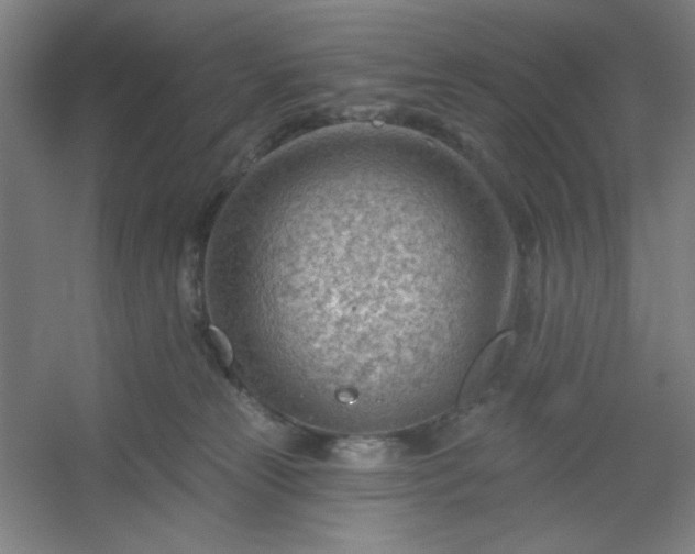 X0000054400181200508121708