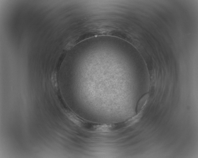 X0000054400182200508121708