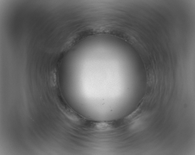 X0000054400183200508121708