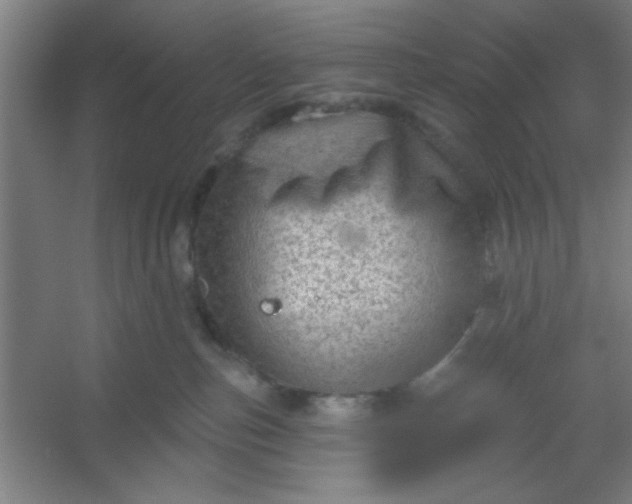 X0000054400187200508121708