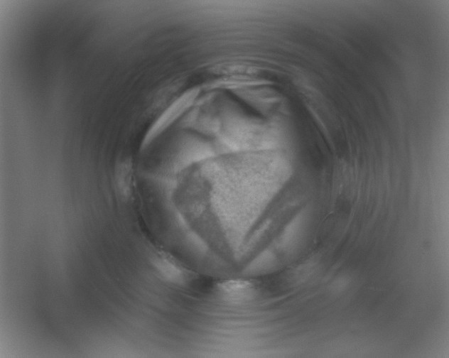 X0000054400189200508121709