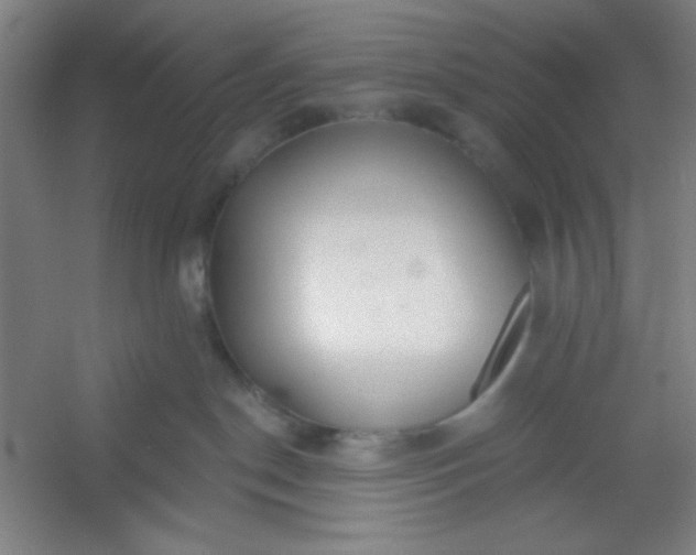 X0000054400190200508121709