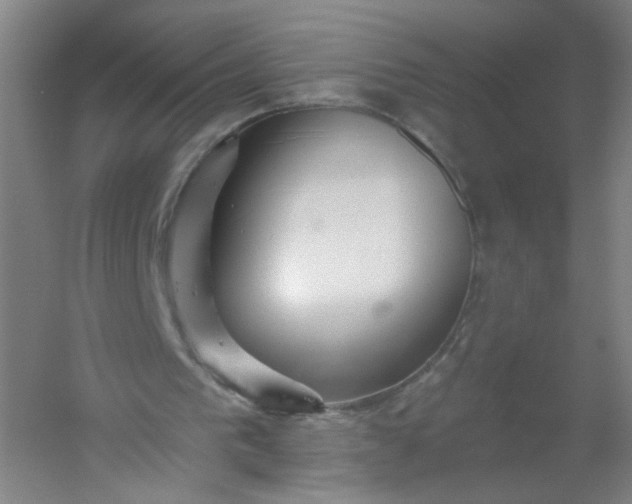 X0000054400193200508121708