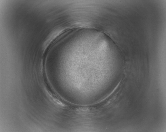 X0000054400194200508121708