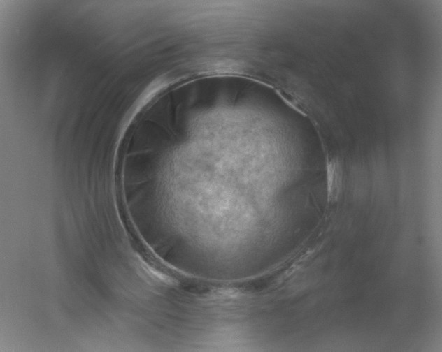 X0000054400195200508121708