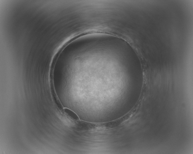 X0000054400196200508121708