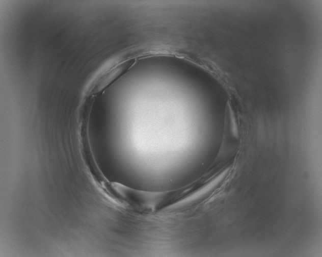 X0000054400197200508121708