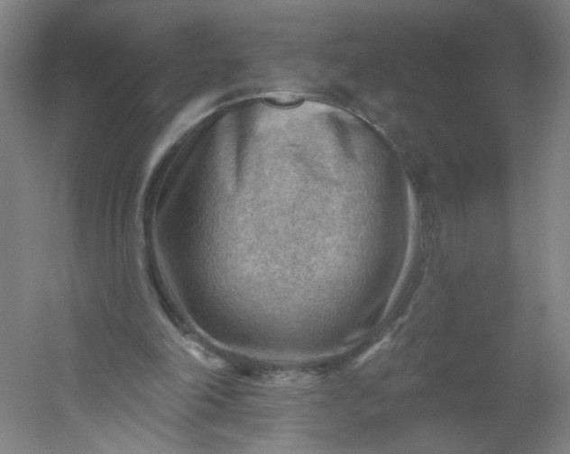 X0000054400198200508121708