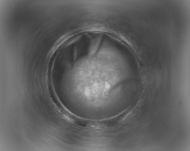 X0000054400199200508121708