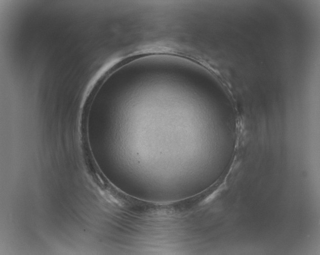 X0000054400200200508121708