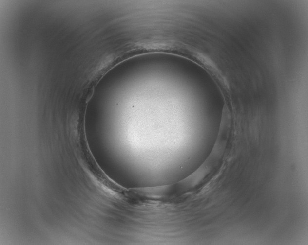 X0000054400201200508121708