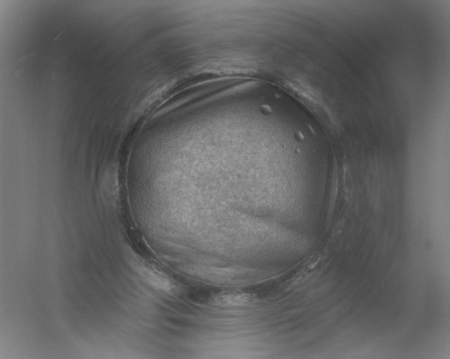 X0000054400202200508121708