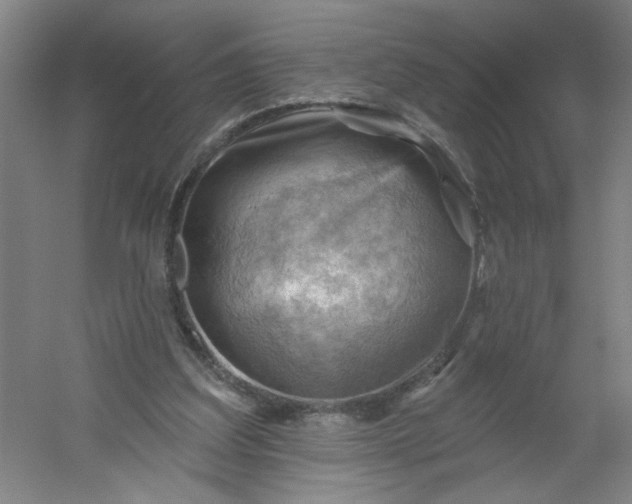 X0000054400203200508121708