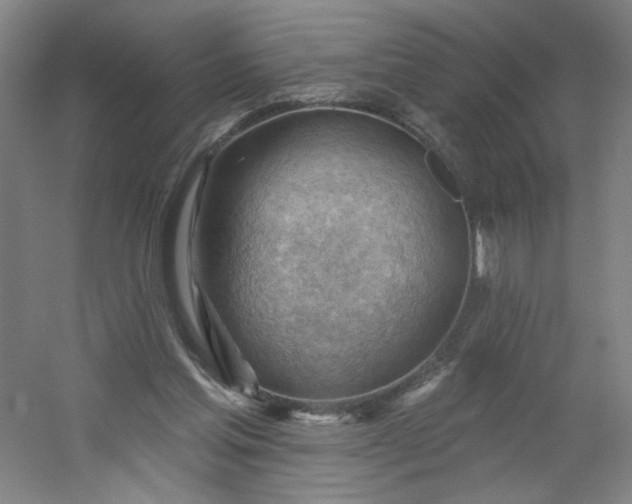 X0000054400205200508121708