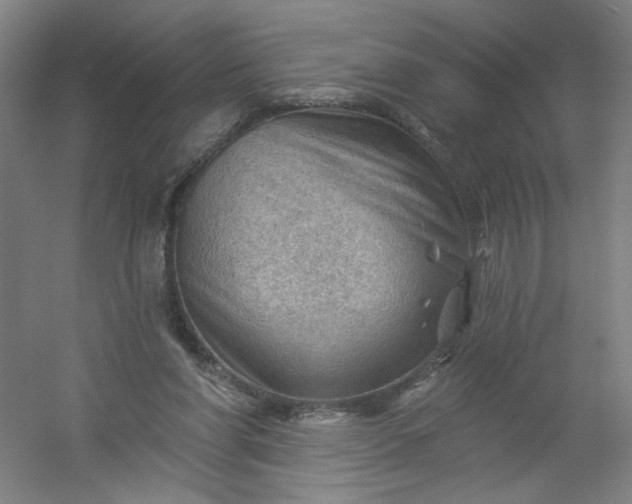 X0000054400206200508121708