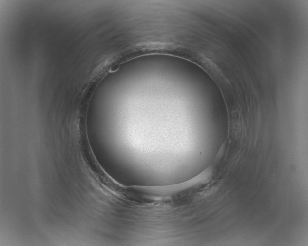 X0000054400207200508121707