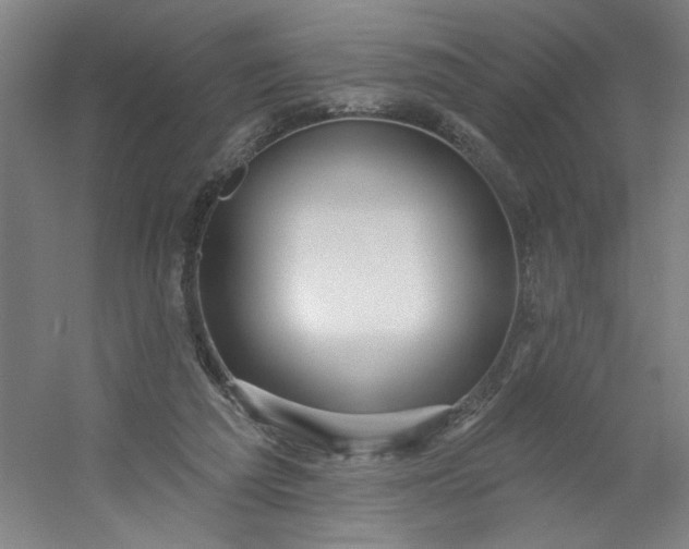 X0000054400209200508121707