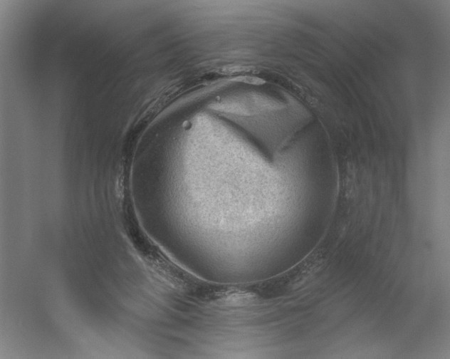 X0000054400210200508121707