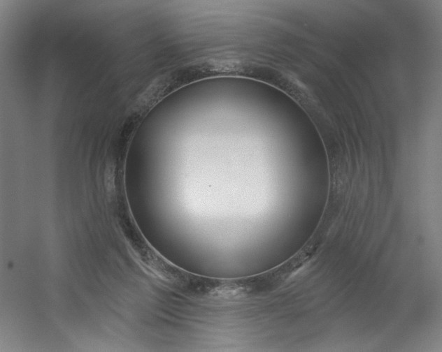 X0000054400213200508121707