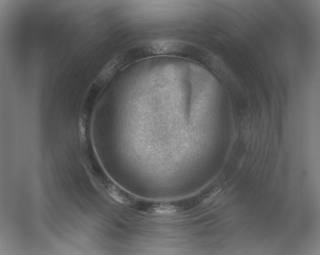 X0000054400214200508121707