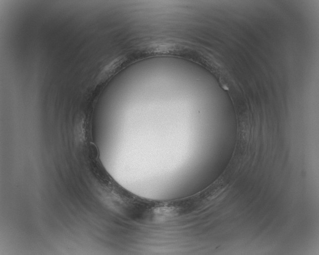 X0000054400216200508121707