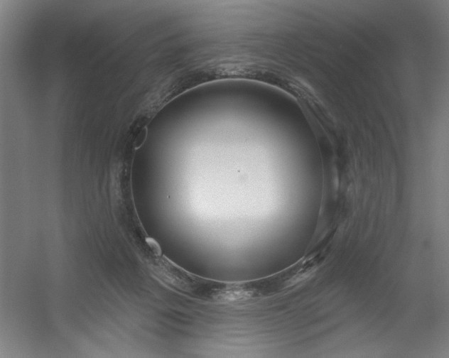 X0000054400217200508121707