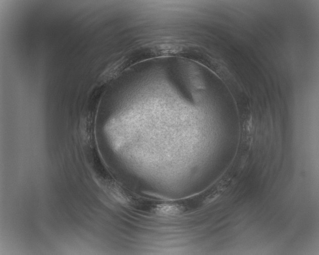 X0000054400218200508121707