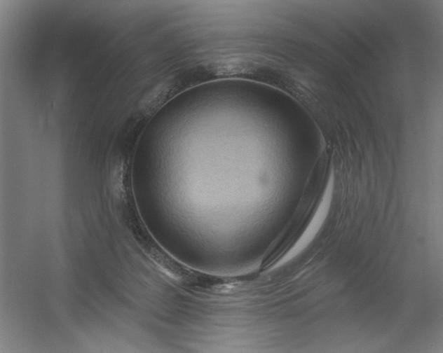 X0000054400219200508121707