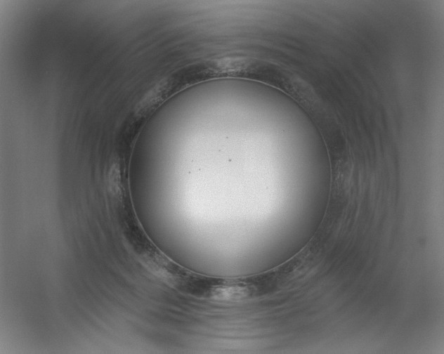 X0000054400220200508121707