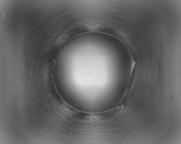 X0000054400221200508121707