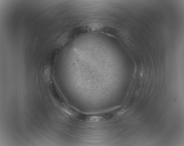 X0000054400222200508121707