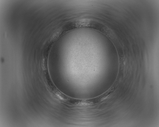 X0000054400224200508121707