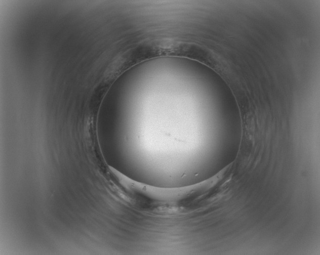 X0000054400225200508121707