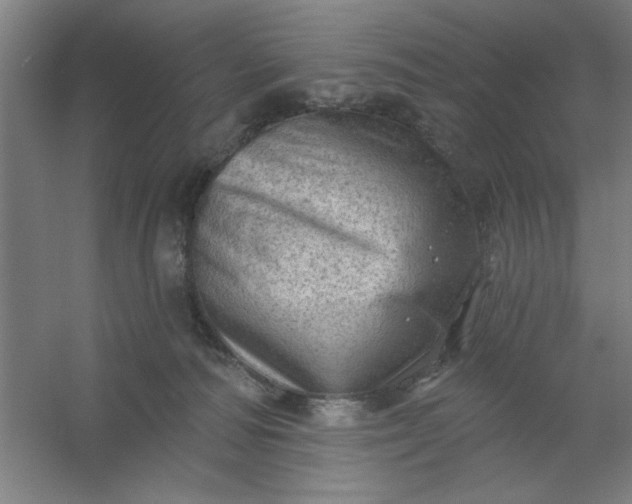 X0000054400226200508121707