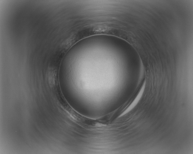 X0000054400227200508121707