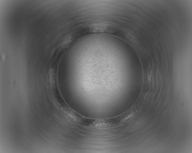 X0000054400228200508121707