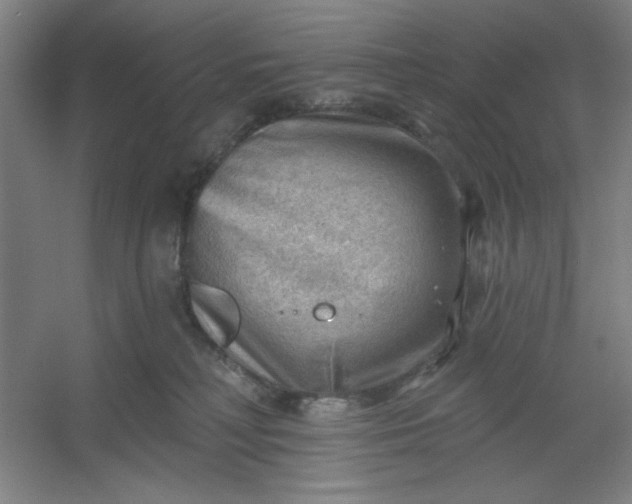 X0000054400230200508121707