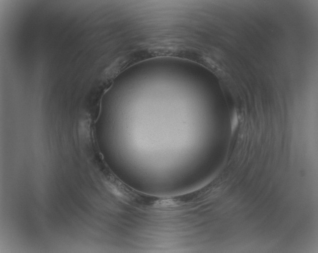 X0000054400231200508121707